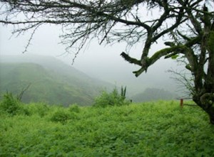 Rutas de ecoturismo y turismo de aventura en Lima