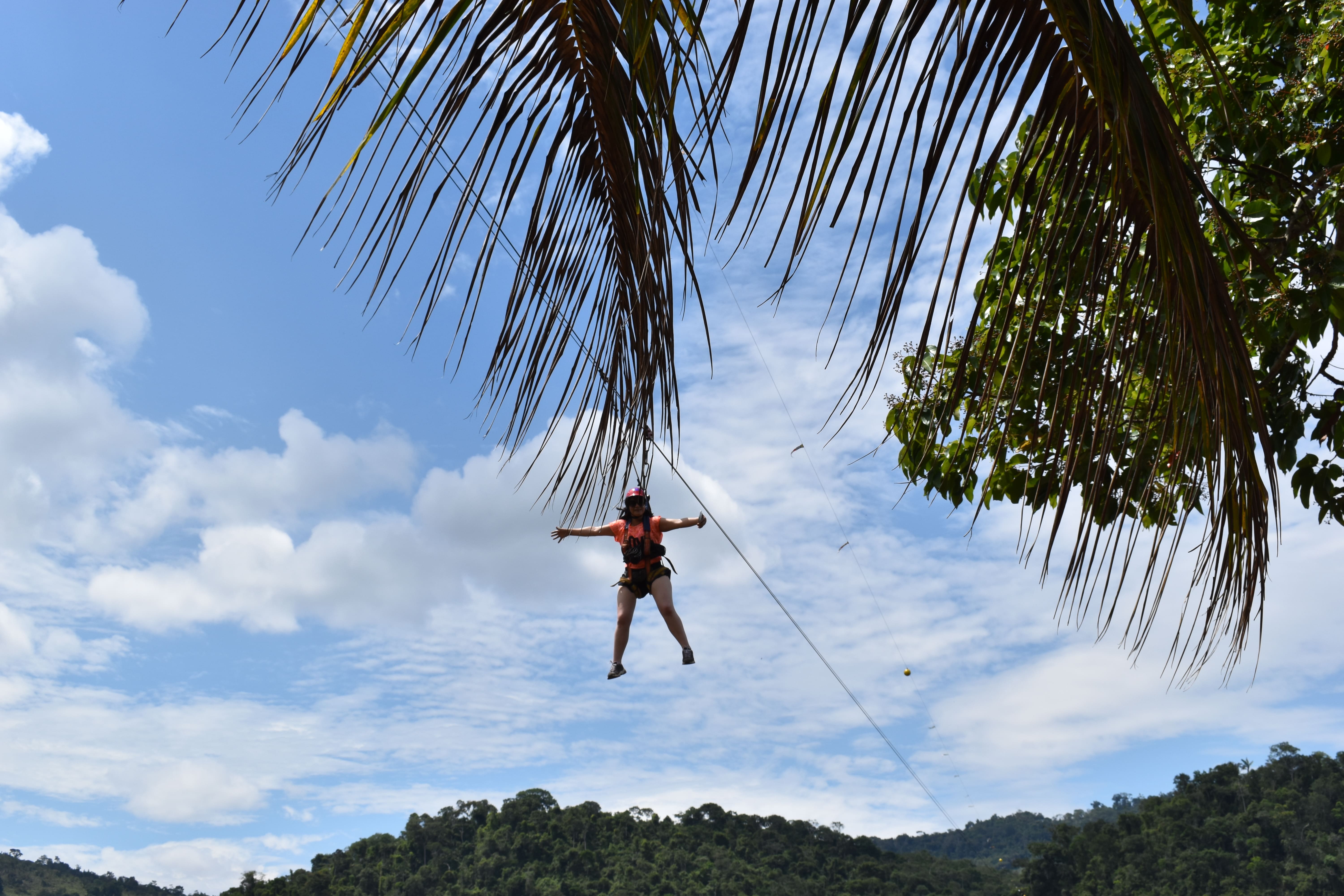 Explorando las Maravillas del Cielo: Los Canopy Más Largos del Mundo